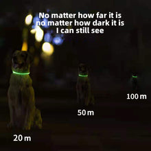 Load image into Gallery viewer, Dog Teddy Pet Luminous Led Collar Flashing At Night Walking Dog Collar Pet Supplies

