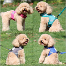 Load image into Gallery viewer, Dog Harness Vest With Lead Leash Small Medium Dogs Cats Reflective Breathable Mesh Pet
