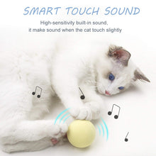 Load image into Gallery viewer, Smart Cat Toys Interactive Ball Catnip Cat Training Toy Pet Playing Ball Pet Squeaky Supplies Products Toy for Cats Kitten Kitty
