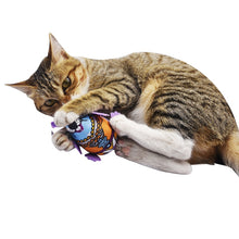 Load image into Gallery viewer, 1pcs Cat Supplies Cat Toys Interactive Inner Catnip And Bell Long Tail Mouse Playing Toys For Cats Kitten Pet Supplies Product
