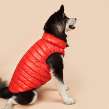Load image into Gallery viewer, Autumn Winter New Pet Dog Clothes
