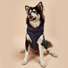 Load image into Gallery viewer, Autumn Winter New Pet Dog Clothes
