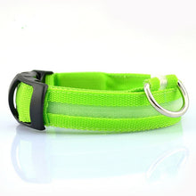 Load image into Gallery viewer, Nylon LED Pet dog Collar,Night Safety Flashing Glow In The Dark Dog Leash
